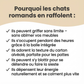 Griffoir en spirale interactif pour chats