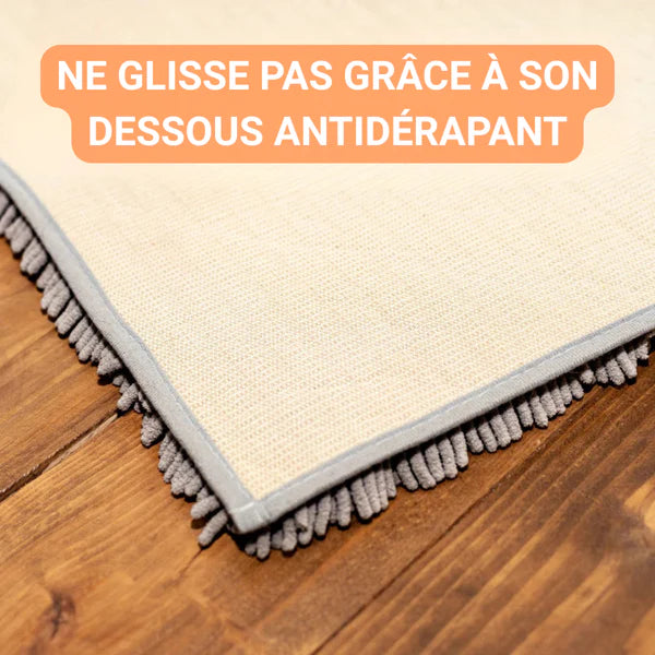 Tapis Anti Saleté pour Chiens